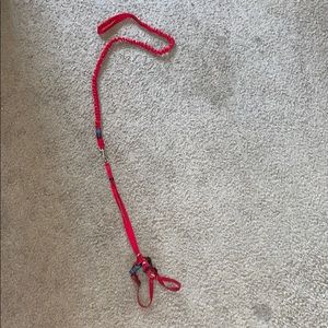 Small cat harness